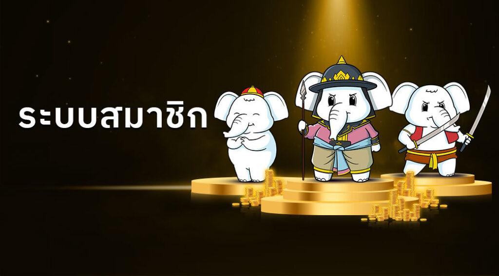 ระบบสมาชิก